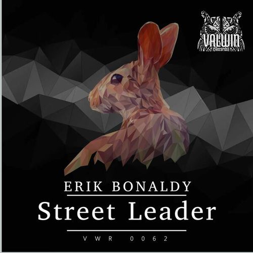 Erik Bonaldy-Street Leader