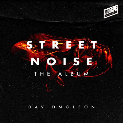 David Moleon-Street Noise