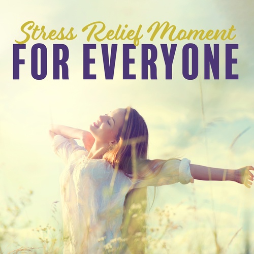 Stress Relief Moment for Everyone (Meditation, Relaxation, Birds Song, Mother Nature)
