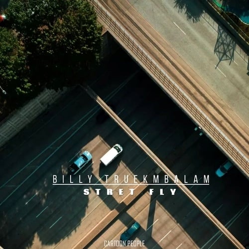 Billy Truekmbalam-Stret Fly