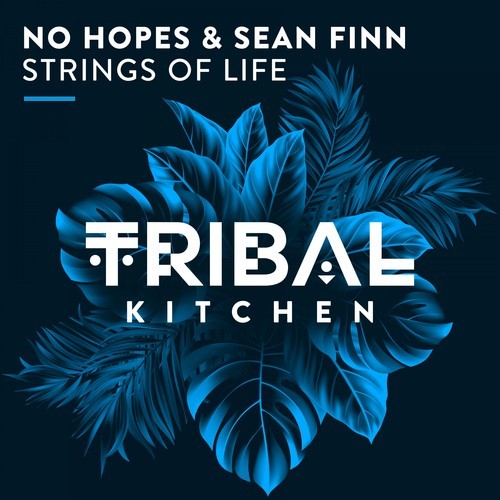 No Hopes, Sean Finn-Strings of Life