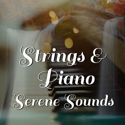 Royal Philharmonic Orchestra-Strings & Piano Serene Sounds