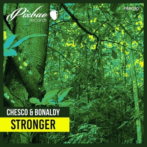 Chesco, Bonaldy-Stronger