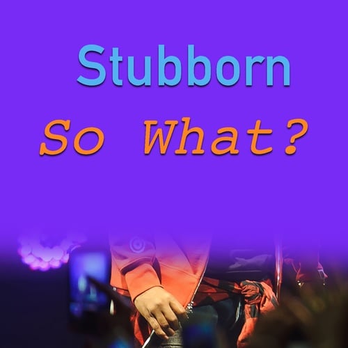 Various Artists-Stubborn. So What?