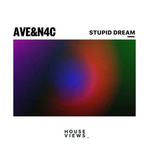 Ave, N4C-Stupid Dream