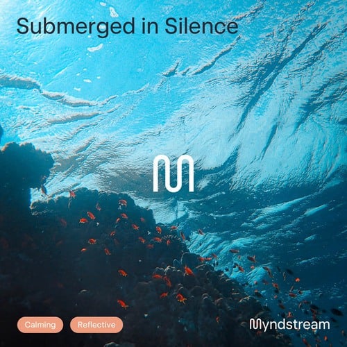 Submerged in Silence