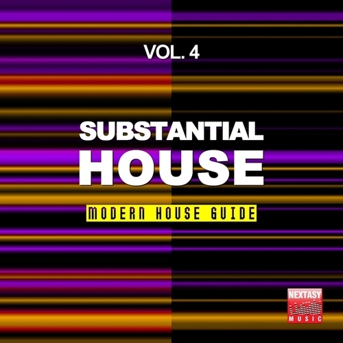 Substantial House, Vol. 4