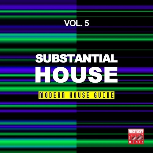 Substantial House, Vol. 5