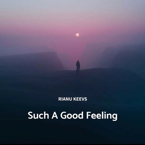 Rianu Keevs-Such a Good Feeling