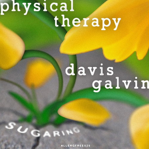 Physical Therapy, Davis Galvin, Facta-Sugaring