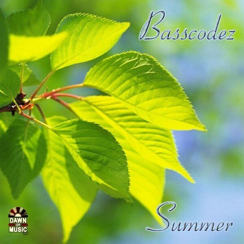 Basscodez-Summer