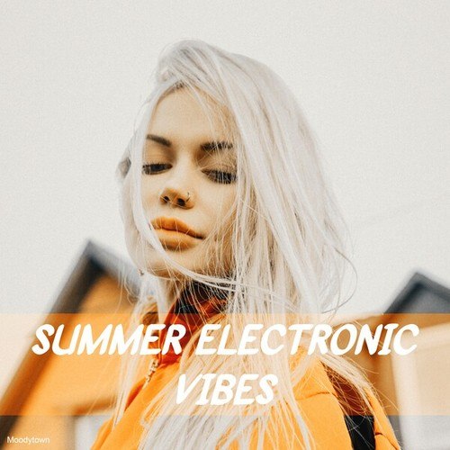 Various Artists-Summer Electronic Vibes