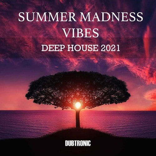 Various Artists-Summer Madness Vibes Deep House 2021