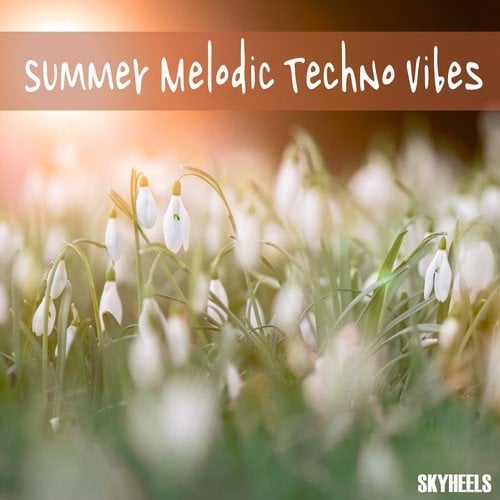 Various Artists-Summer Melodic Techno Vibes