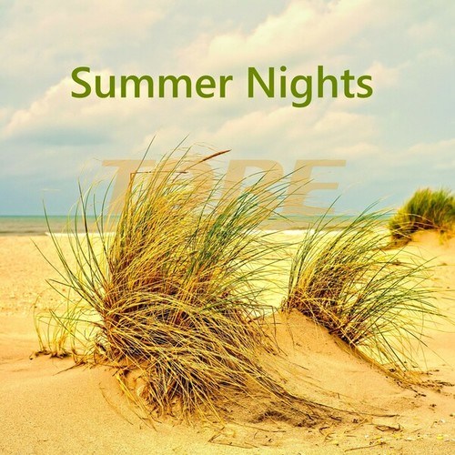 Tobe-Summer Nights (Radio Edit)