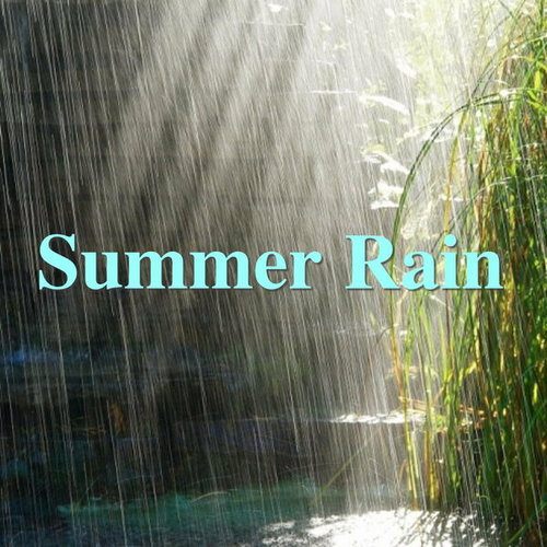 Summer Rain