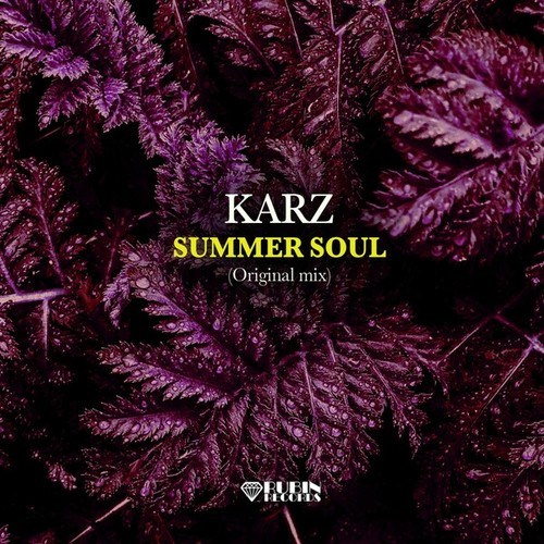 KARZ-Summer Soul