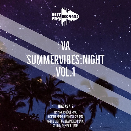 Various Artists-Summer Vibes: Night