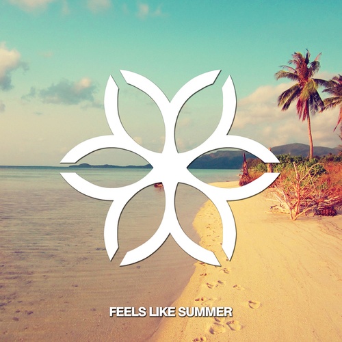 Unknown Artist-SUMMER001 - Feels Like Summer