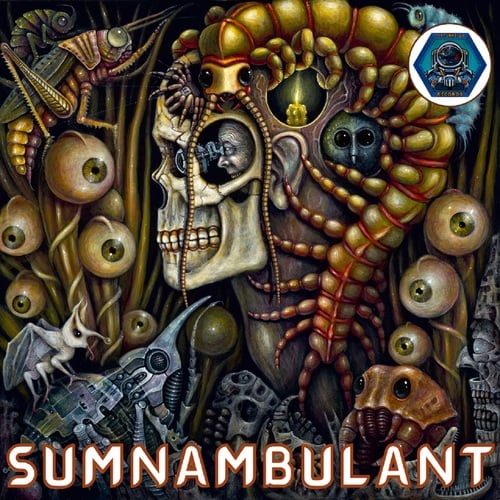 Various Artists-Sumnambulant
