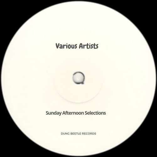 Various Artists-Sunday Afternoon Selections