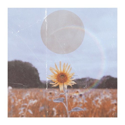 Blizkid-Sunflower