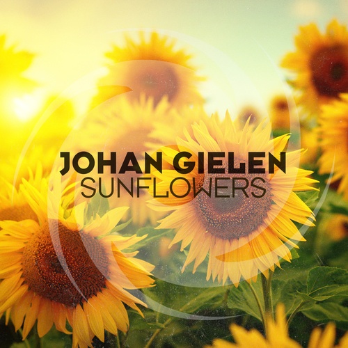 Johan Gielen-Sunflowers