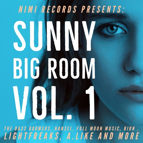 Various Artists-Sunny Big Room, Vol. 1
