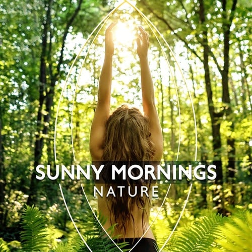 Sunny Mornings – Nature