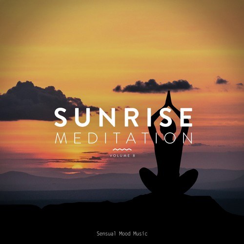Various Artists-Sunrise Meditation, Vol. 8