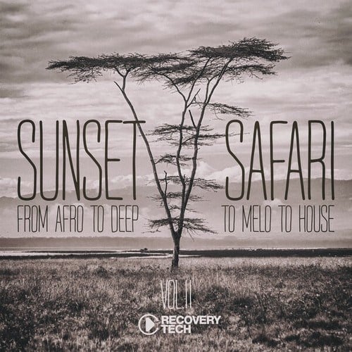 Sunset Safari, Vol. 11