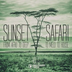 Sunset Safari, Vol. 5 - Various Artists