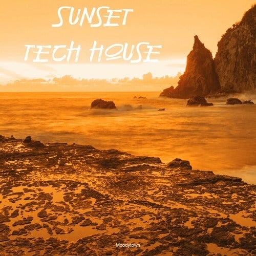 Various Artists-Sunset Tech House
