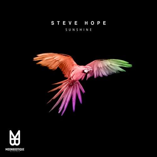 Steve Hope, DirrtyDishes-Sunshine