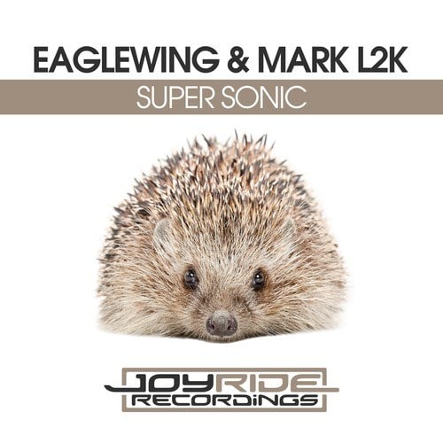 Mark L2K, Eaglewing-Super Sonic