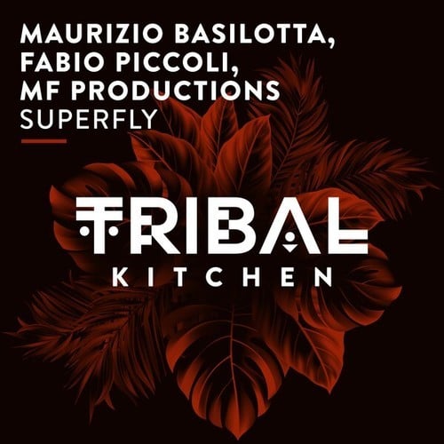 Maurizio Basilotta, Fabio Piccoli, MF Productions-Superfly (Extended Mix)