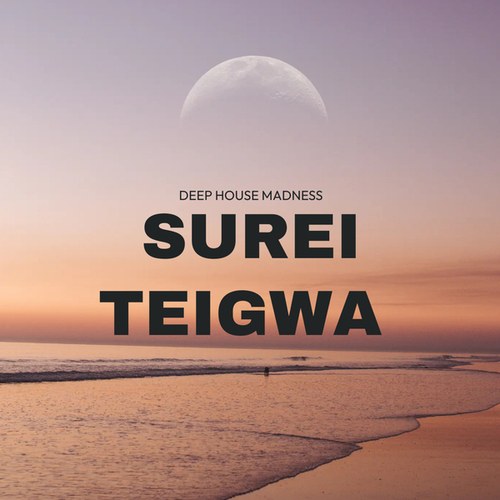 Deep House Madness-Surei Teigwa