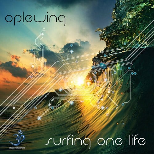 Surfing One Life