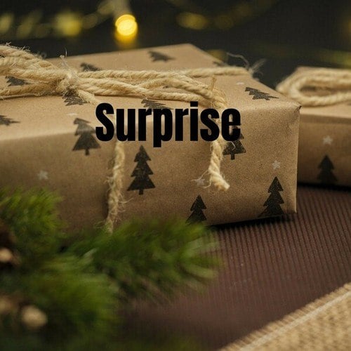 Surprise