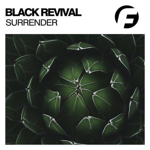 Black Revival-Surrender