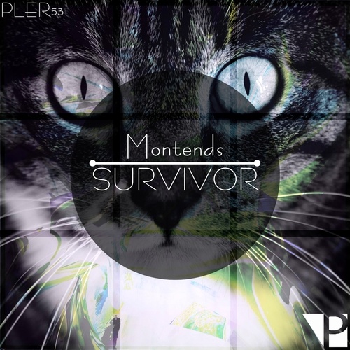 Montends-Survivor