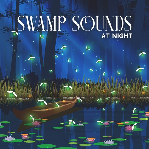 Swamp Sounds at Night