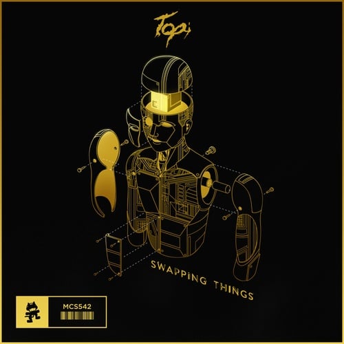 Topi-Swapping Things
