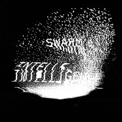 Swarm Intelligence-Swarm Intelligence 002