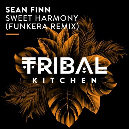 Sean Finn, Funkera-Sweet Harmony (Funkera Remix)