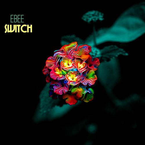 Ebee-Switch