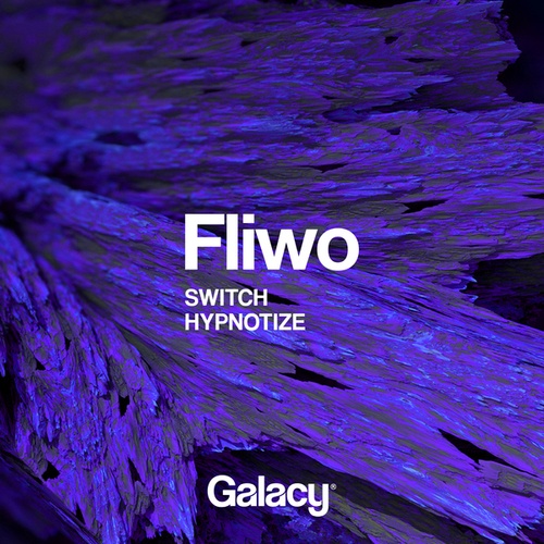 Fliwo-Switch / Hypnotize