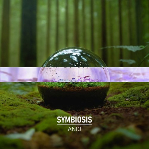 Symbiosis