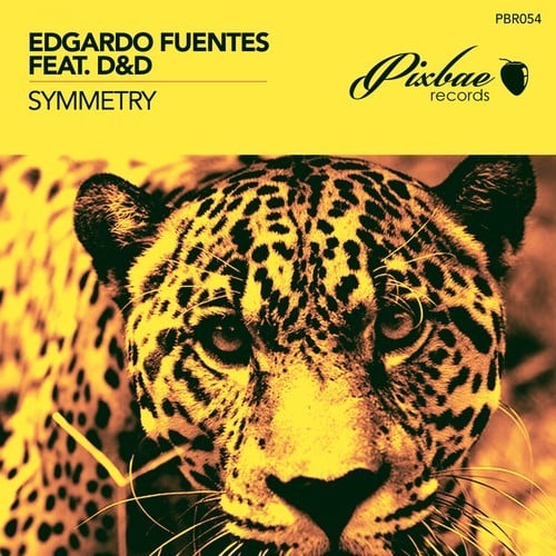 Edgardo Fuentes, D&D-Symmetry