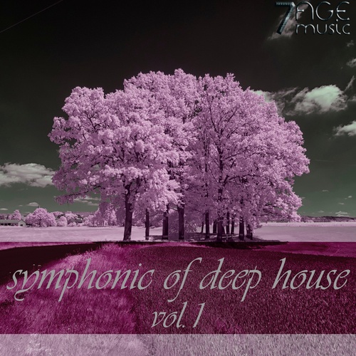 Various Artists-Symphonic of Deep House, Vol.1